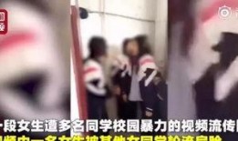 河南爆料女孩视频大全最新,揭秘网络热点背后的真相
